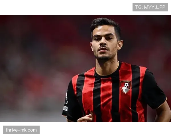 伯恩茅斯迎新帅掌舵,状态回暖成新赛季看点 伯恩茅斯迎新帅掌舵,状态回暖成新赛季看点